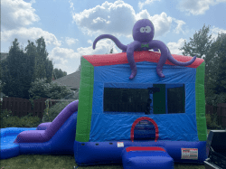 Screen20Shot202024 07 1920at202.32.1020PM 1721413972 1 Bounce House/Slide combo WET/DRY